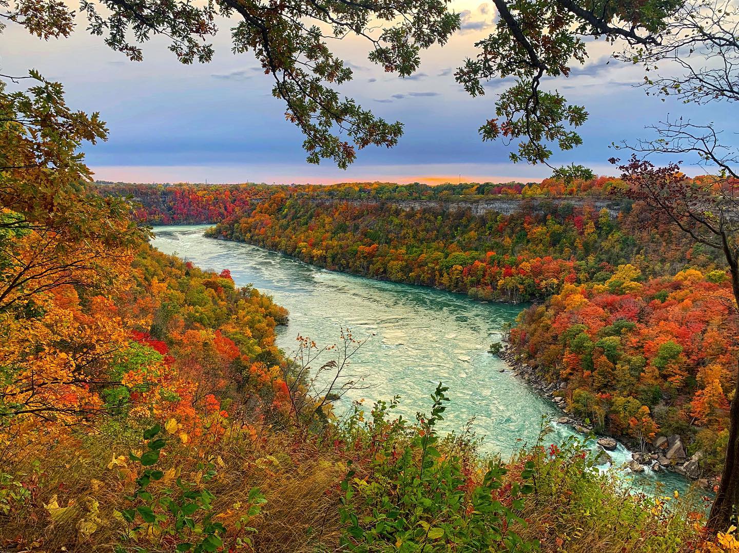 Experience Niagara Fall Colours